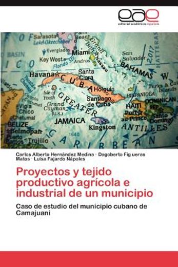 proyectos y tejido productivo agr cola e industrial de un municipio