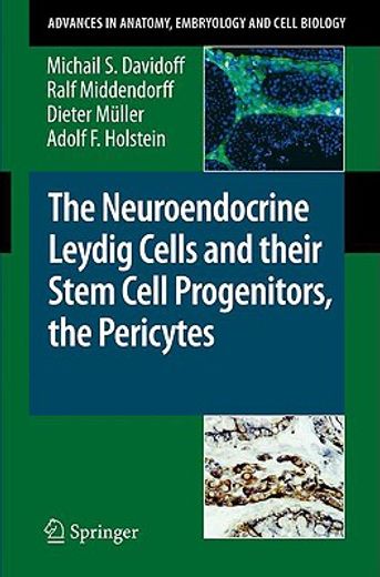 the neuroendocrine leydig cells and their stem cell progenitors, the pericytes