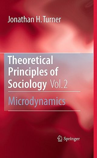 principles of sociological theory, volume 2 (en Inglés)