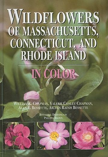 wildflowers of massachusetts, connecticut, and rhode island,in color