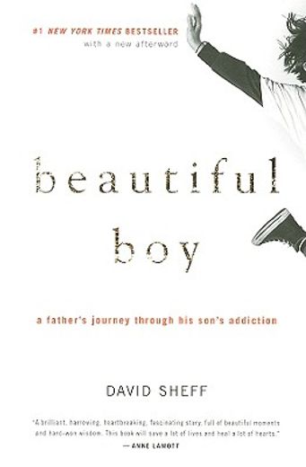 beautiful boy,a father´s journey through his son´s addiction