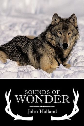 sounds of wonder