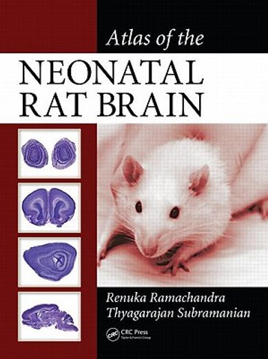 Atlas of the Neonatal Rat Brain (en Inglés)