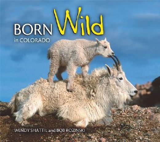 born wild in colorado