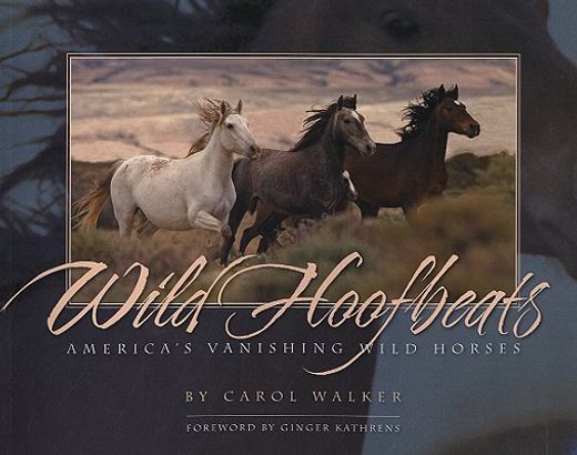 wild hoofbeats,america´s vanishing wild horses