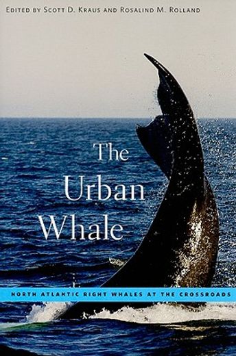 the urban whale,north atlantic right whales at the crossroads