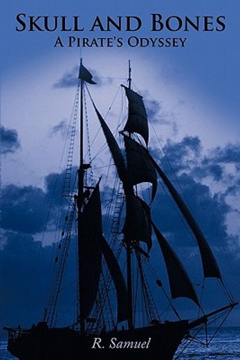 skull and bones,a pirate`s odyssey