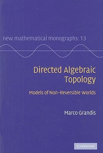directed algebraic topology,models of non-reversible worlds
