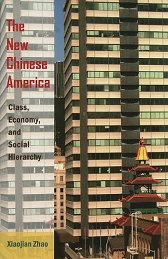 the new chinese america,class, economy, and social hierarchy