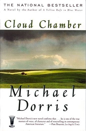 cloud chamber (en Inglés)