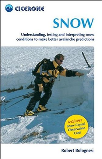 snow,understanding, testing and interpreting snow conditions to make better avalanche predictions