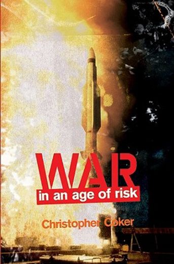war in the age of risk