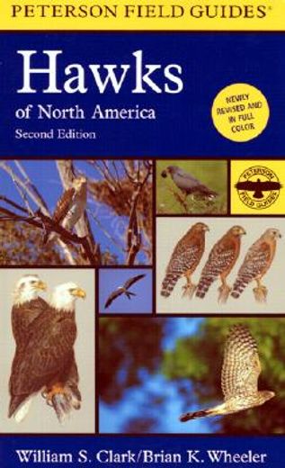 a field guide to hawks of north america