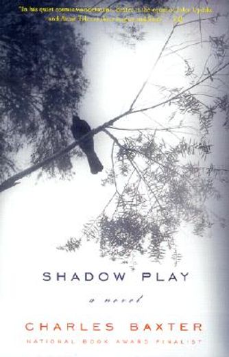 shadow play,a novel