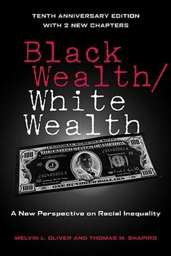 black wealth/white wealth,a new perspective on racial inequality