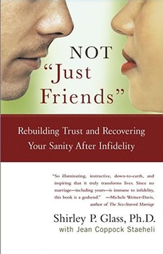 not just friends,rebuilding trust and recovering your sanity after infidelity (en Inglés)