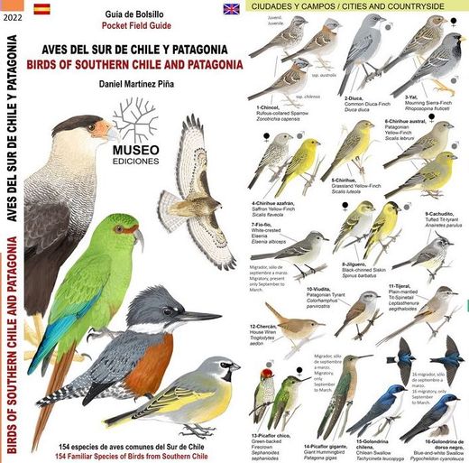 Guía de Campo Aves del sur de Chile y Patagonia Desplegable (Bilingue)