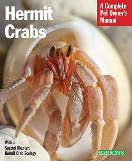 hermit crabs,everything about purchase, care, and nutrition