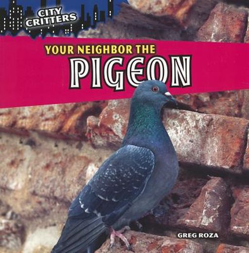 your neighbor the pigeon