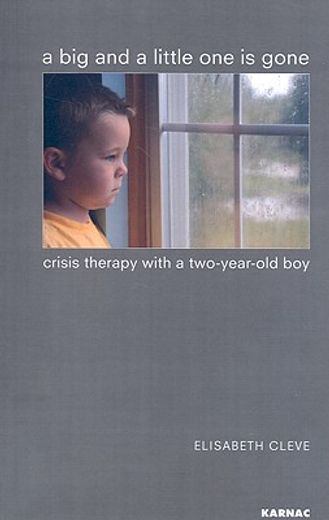 a big and a little one is gone,crisis therapy with a two-year old boy