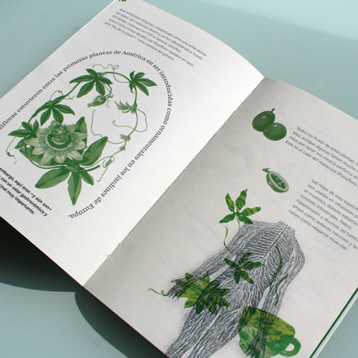 Descolonizar Naturalezas