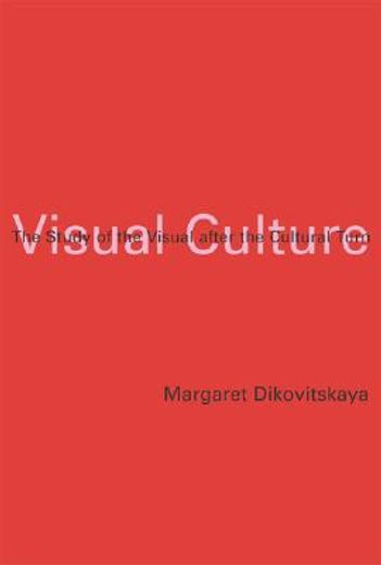 visual culture,the study of the visual after the cultural turn