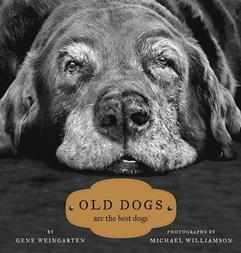 old dogs,are the best dogs (in English)