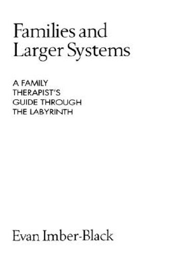 families and larger systems,a family therapist´s guide through the labyrinth