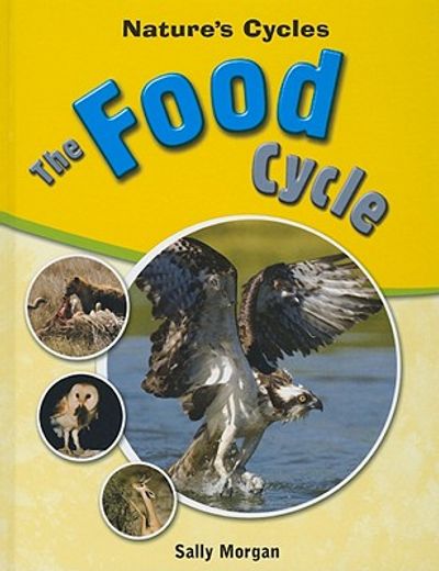 the food cycle