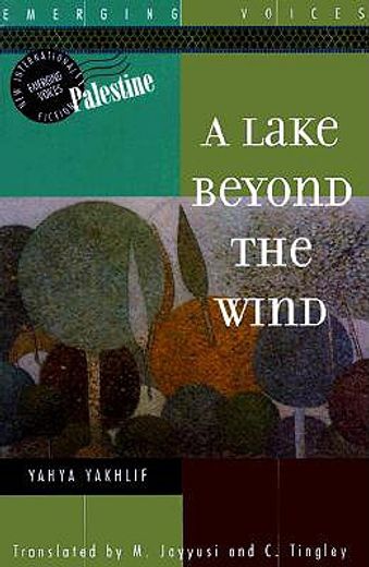 a lake beyond the wind,a novel