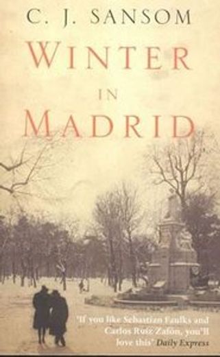winter in madrid (en Inglés)