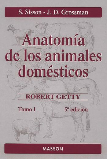 Anatomia de los Animales Domesticos Tomo i (5ª Ed. )