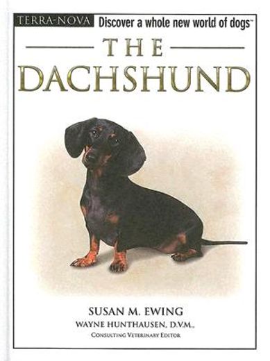 the dachshund