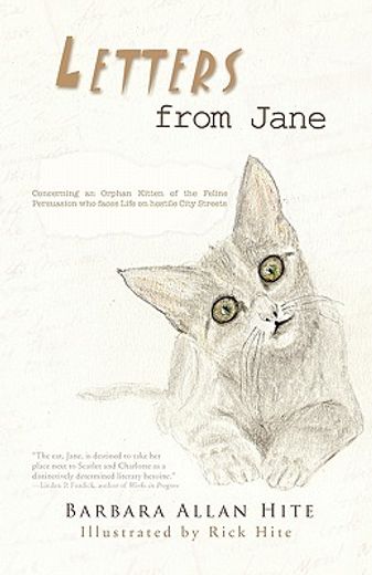 letters from jane,the adventures of an abandoned kitten