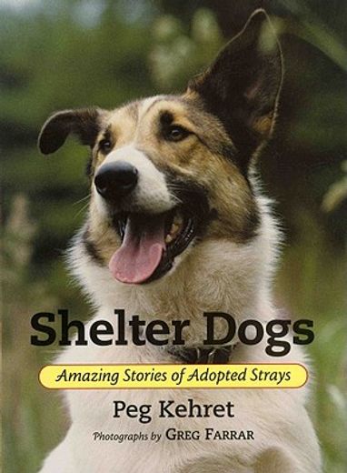 shelter dogs,amazing stories of adopted strays