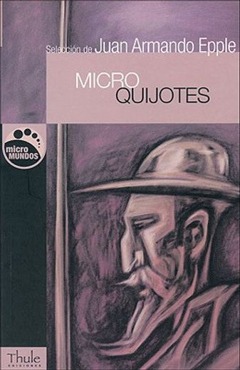 Microquijotes (in Spanish)