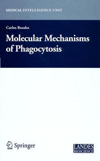 molecular mechanisms of phagocytosis