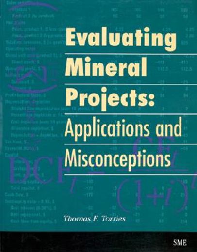 evaluating mineral projects