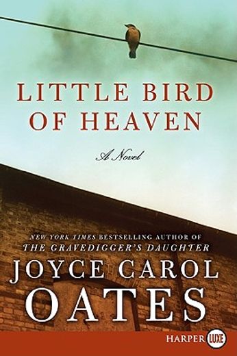 little bird of heaven (en Inglés)