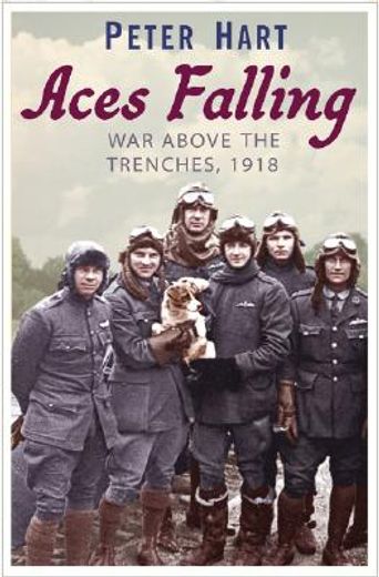 aces falling,war above the trenches, 1918 (en Inglés)