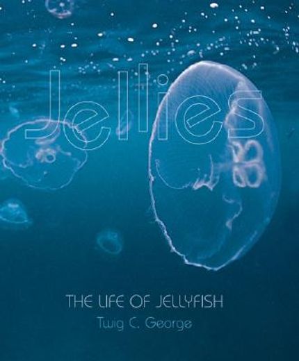 jellies,the life of jellyfish