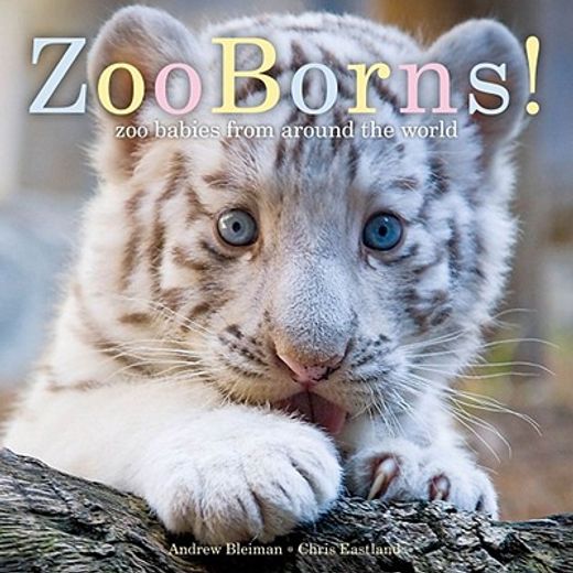 zooborns!,zoo babies from around the world