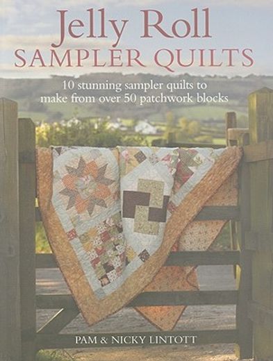 jelly roll sampler quilts,10 stunning sampler quilts to make from over 50 patchwork blocks (in English)