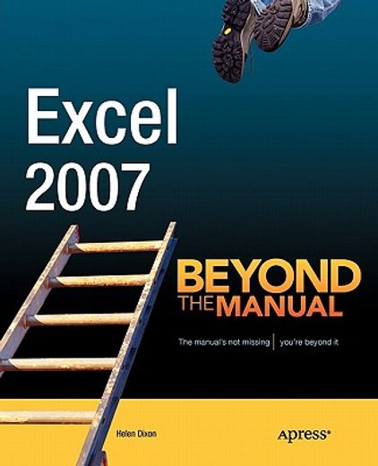 excel 2007,beyond the manual