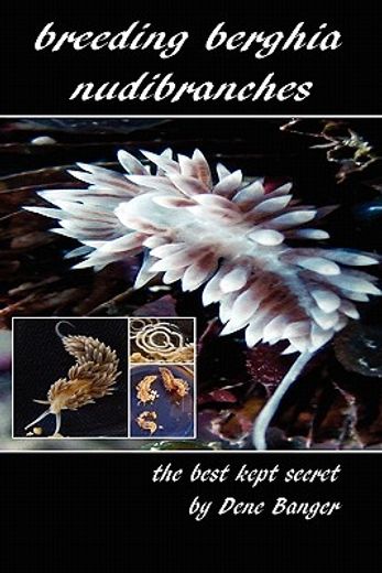 breeding berghia nudibranches the best kept secret (en Inglés)