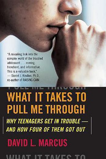 what it takes to pull me through,why teenagers get in trouble and how four of them got out