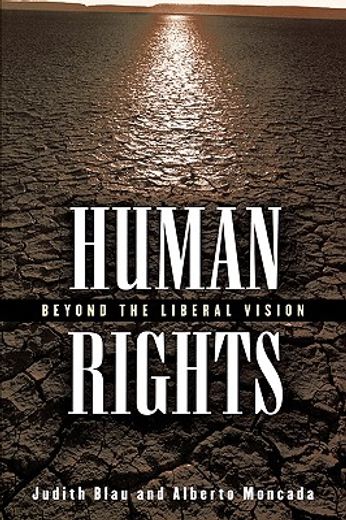 human rights,beyond the liberal vision