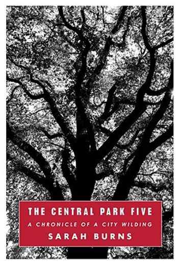 the central park five,a chronicle of a city wilding