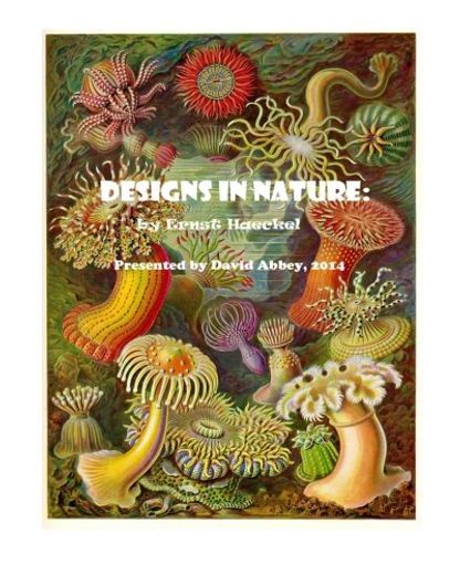 Designs in Nature: The Incredible art of Ernst Haeckel (en Inglés)