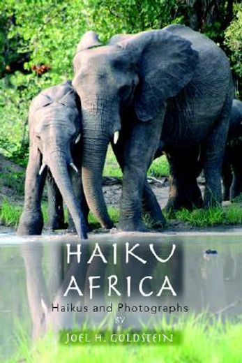 haiku africa,haikus and photographs (en Inglés)